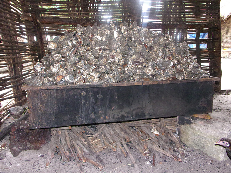 Whitstable Oyster Company in Sierra Leone